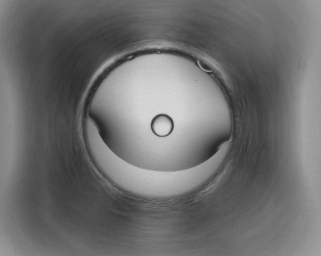 X0000115161326200911241541