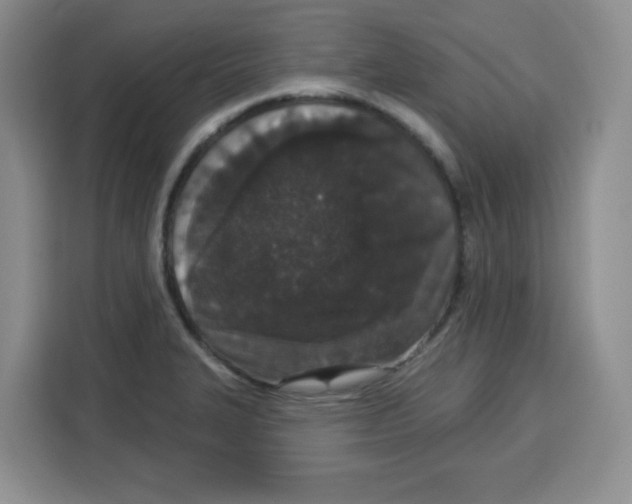 X0000115161327200911241541