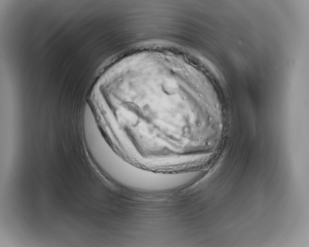 X0000115161329200911241541