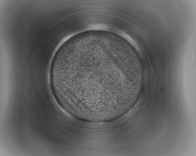 X0000115161331200911241541