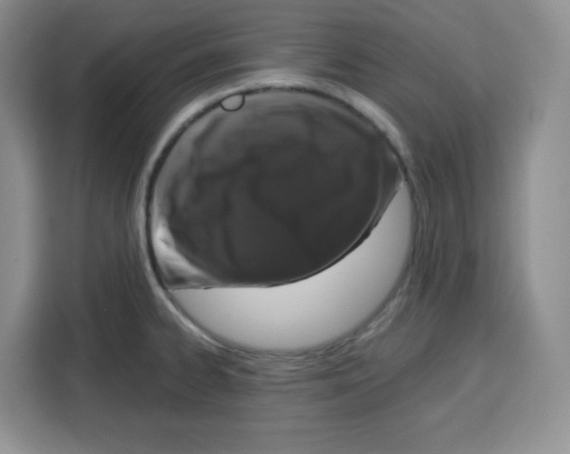 X0000115161334200911241541