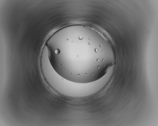 X0000115161338200911241541