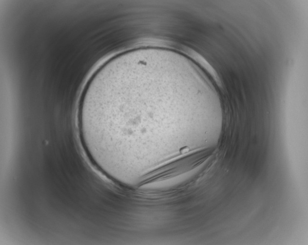 X0000115161339200911241541