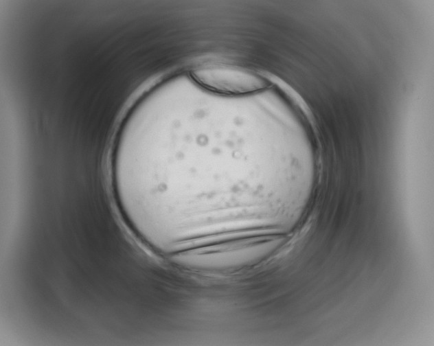 X0000115161341200911241541