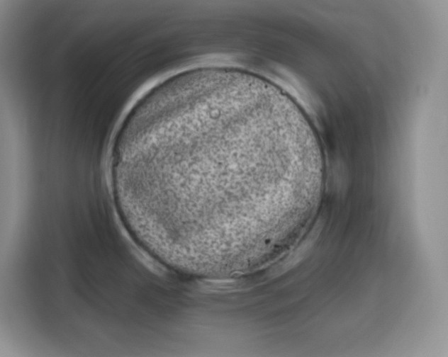 X0000115161342200911241541