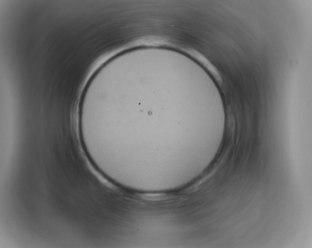 X0000115161343200911241541