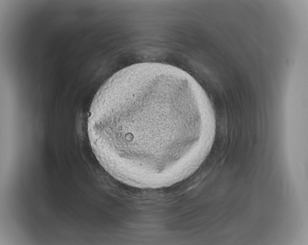 X0000115161346200911241541