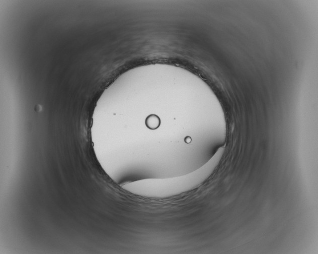 X0000115161348200911241541