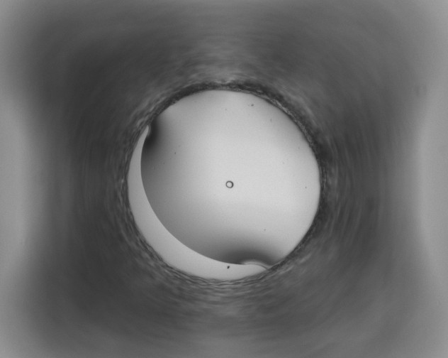 X0000115161349200911241541