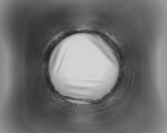 X0000115161351200911241540