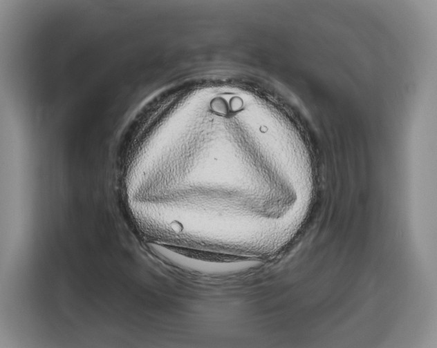 X0000115161352200911241540