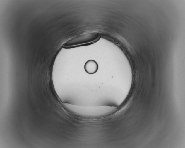 X0000115161353200911241540