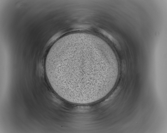 X0000115161354200911241540