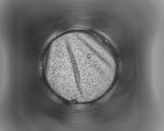 X0000115161355200911241540