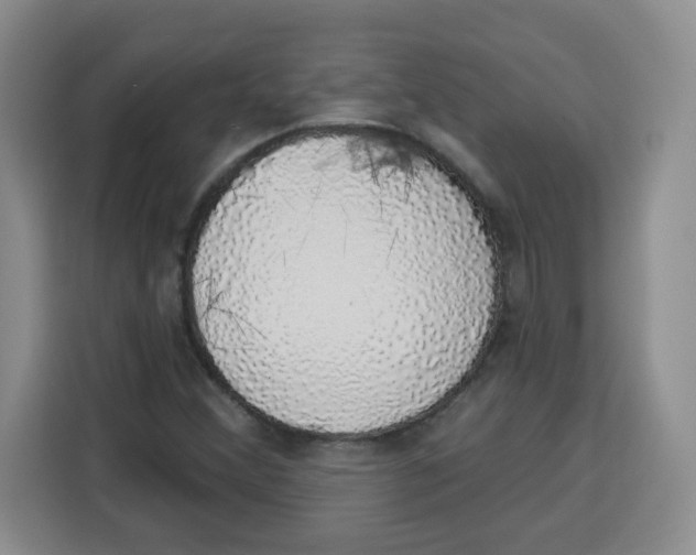 X0000115161356200911241540