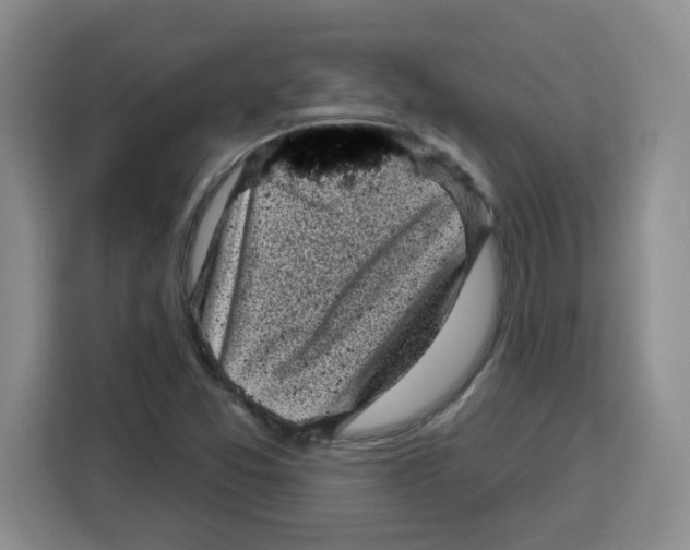 X0000115161357200911241540