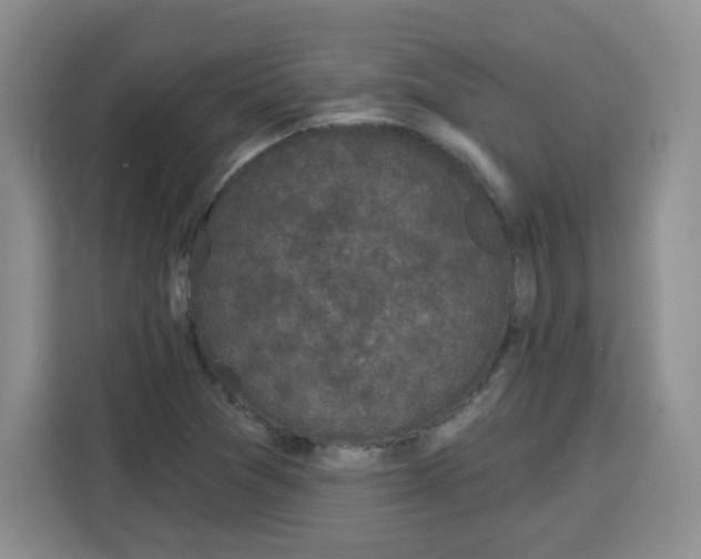 X0000115161361200911241540