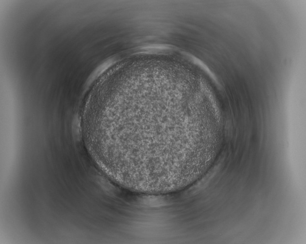 X0000115161362200911241540