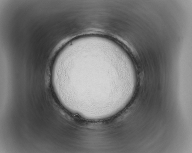 X0000115161363200911241540