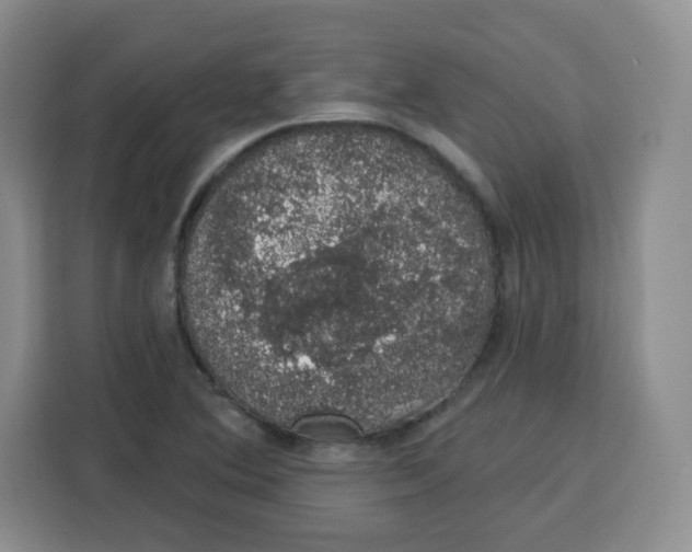 X0000115161364200911241540