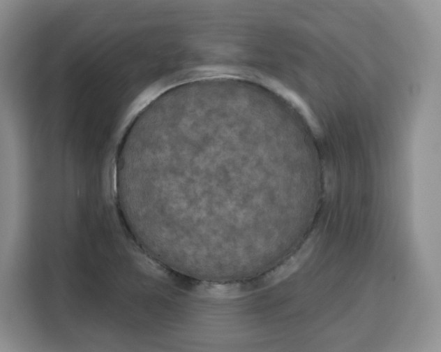 X0000115161365200911241540