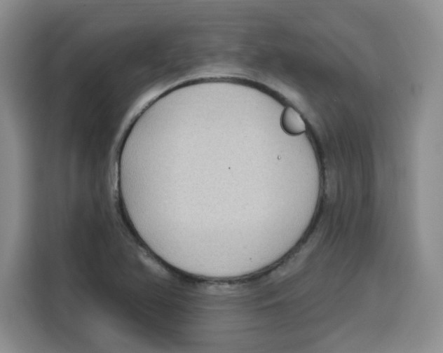 X0000115161366200911241540