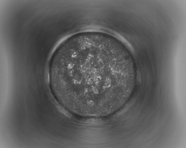 X0000115161368200911241540