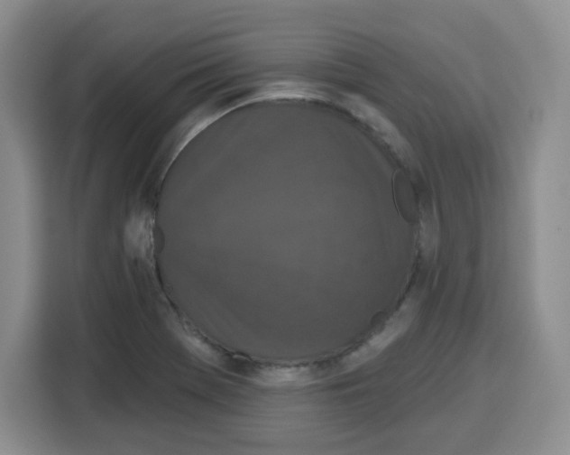 X0000115161369200911241540