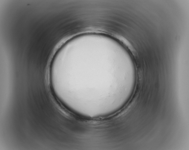 X0000115161371200911241540