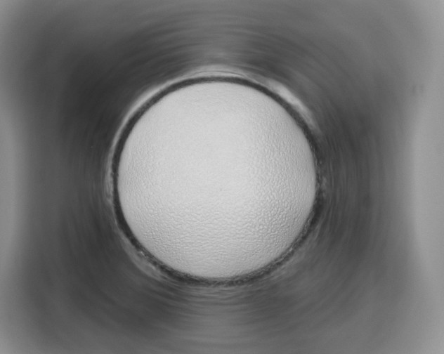 X0000115161372200911241540