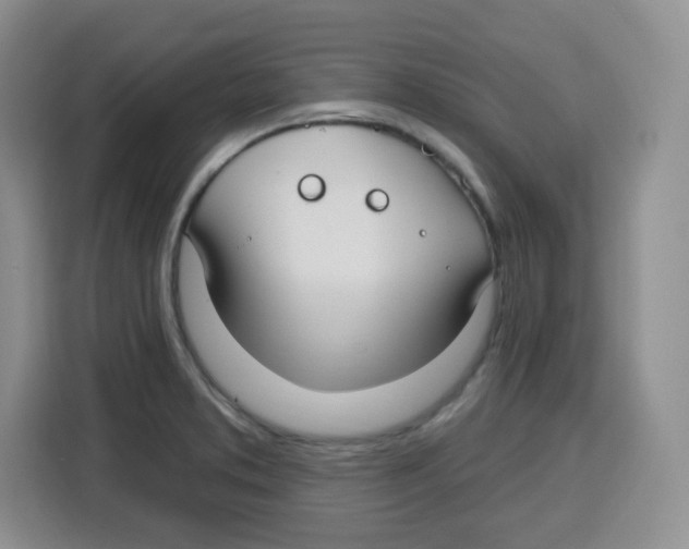 X0000115161373200911241540