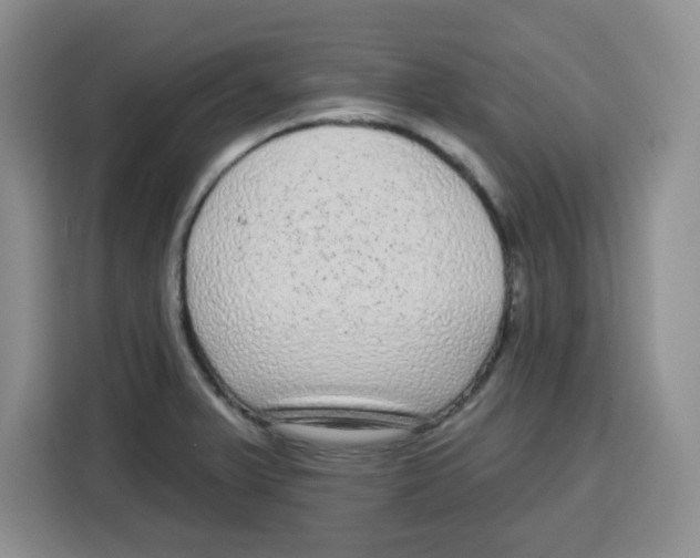 X0000115161375200911241540