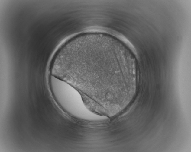 X0000115161376200911241540