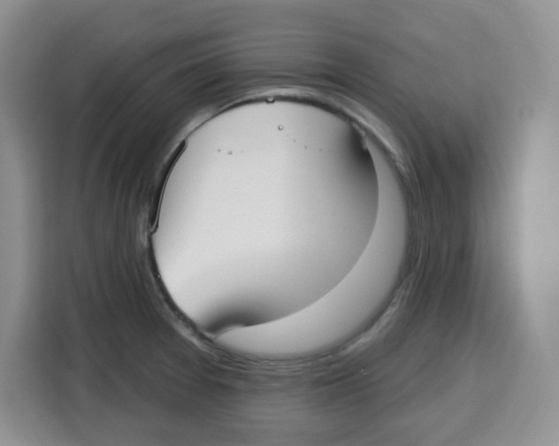 X0000115161377200911241540