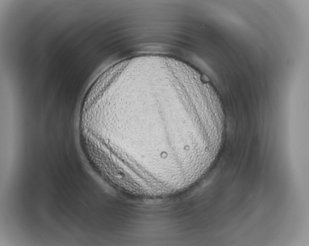 X0000115161378200911241540