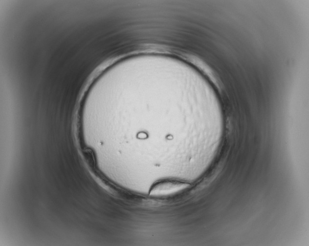 X0000115161379200911241540