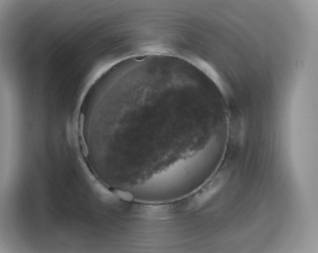 X0000115161381200911241540