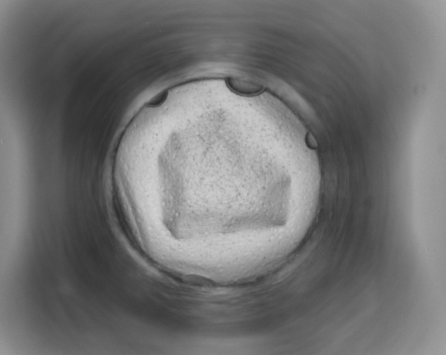 X0000115161382200911241540