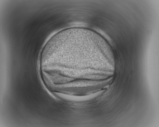 X0000115161383200911241540