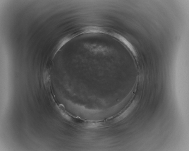 X0000115161385200911241540