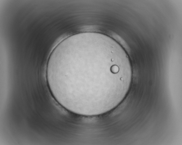 X0000115161386200911241540