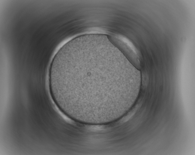 X0000115161387200911241540