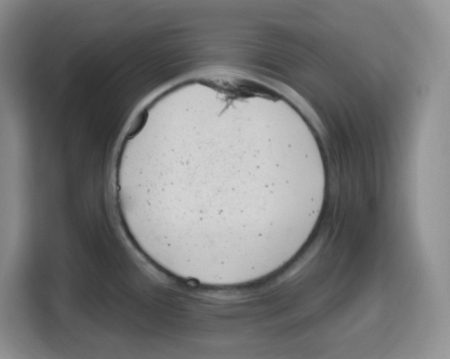 X0000115161388200911241540