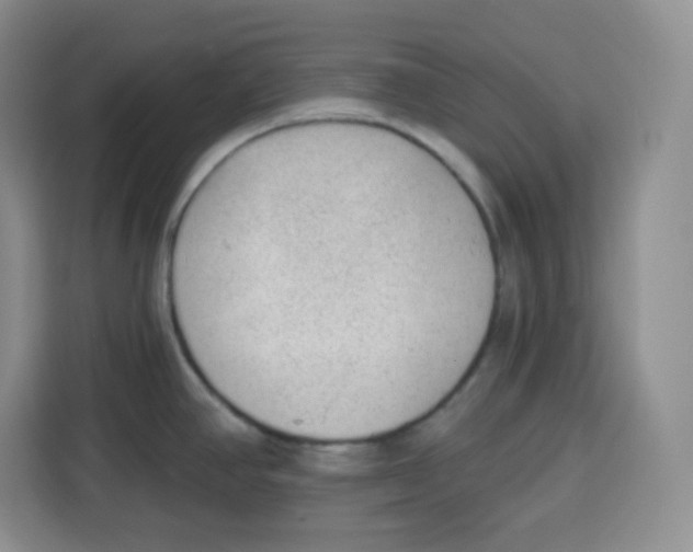 X0000115161390200911241540