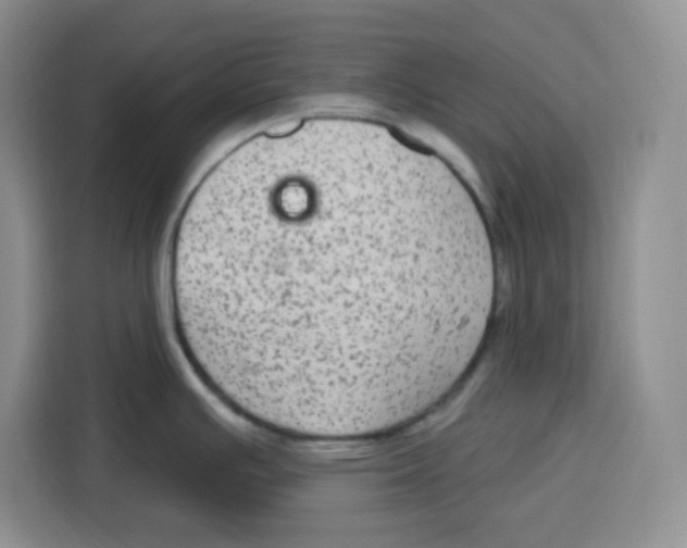 X0000115161391200911241540