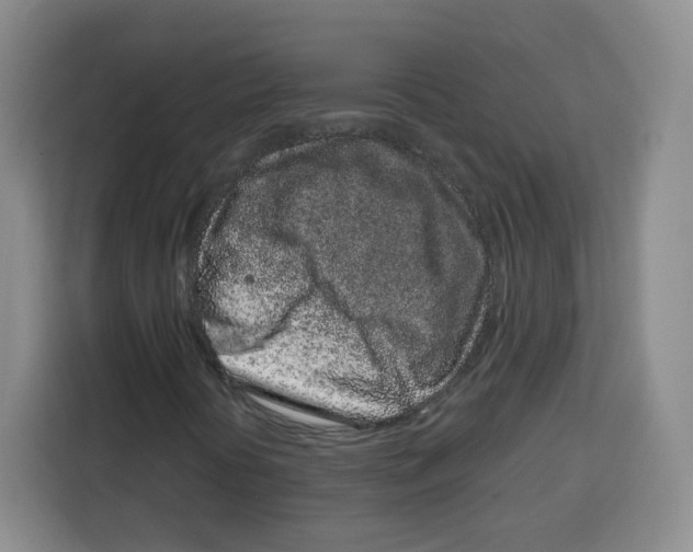 X0000115161394200911241539