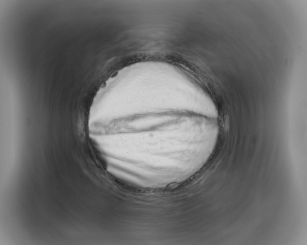 X0000115161396200911241539