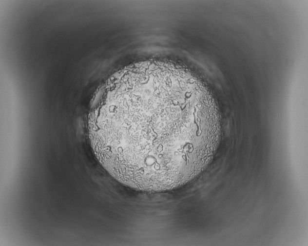 X0000115161397200911241539