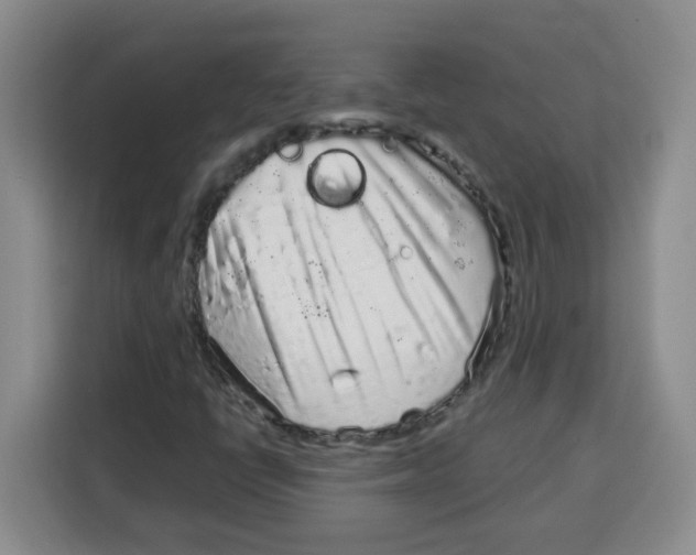 X0000115161398200911241539