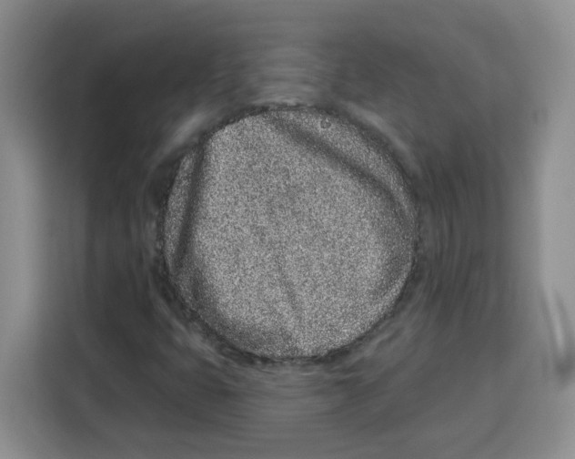 X0000115161399200911241539